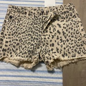 Leopard Shorts